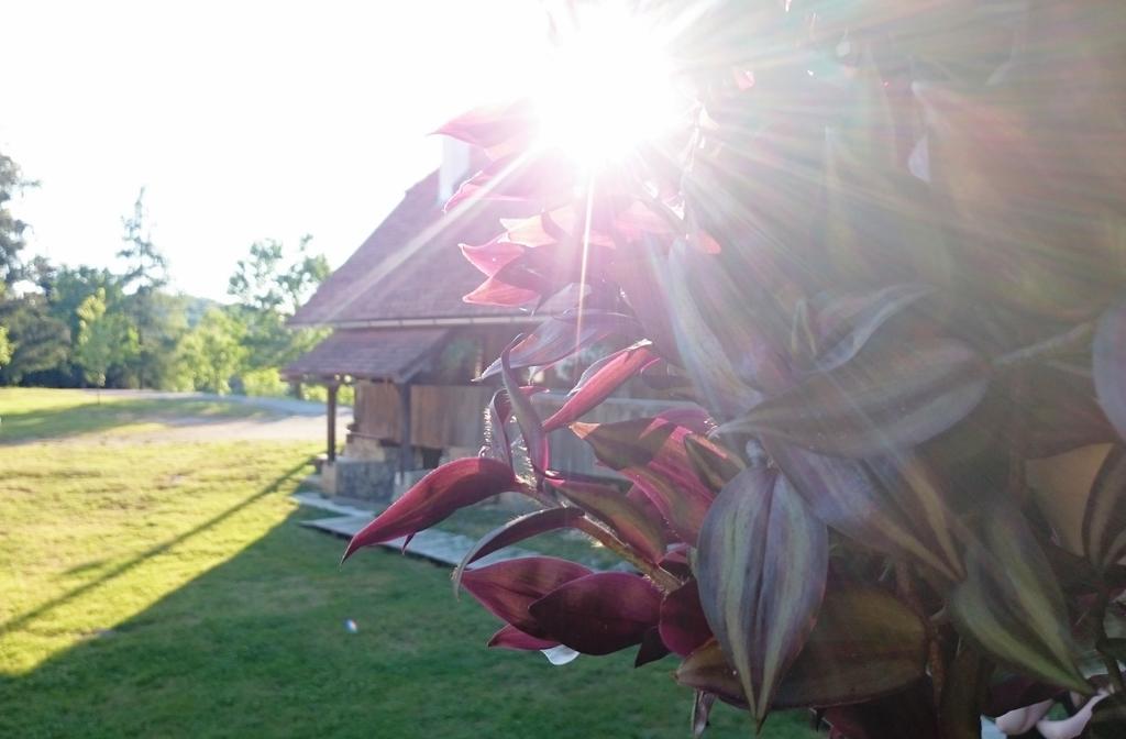 Rustic Home Mia Дуга Реса Стая снимка