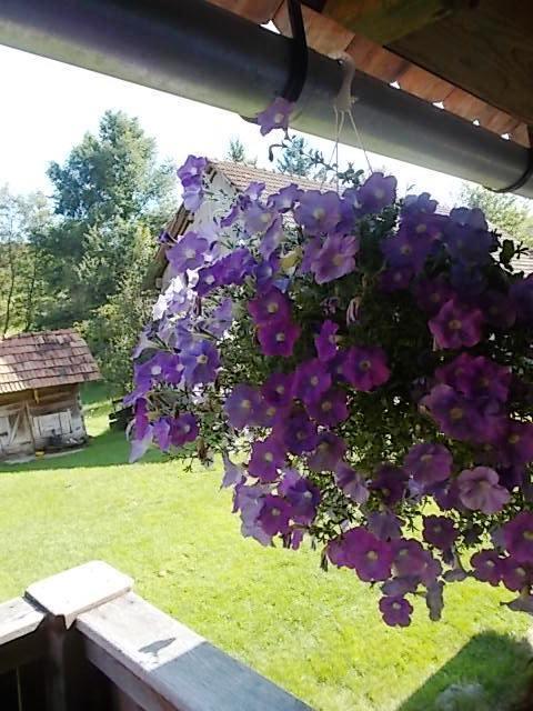 Rustic Home Mia Дуга Реса Стая снимка